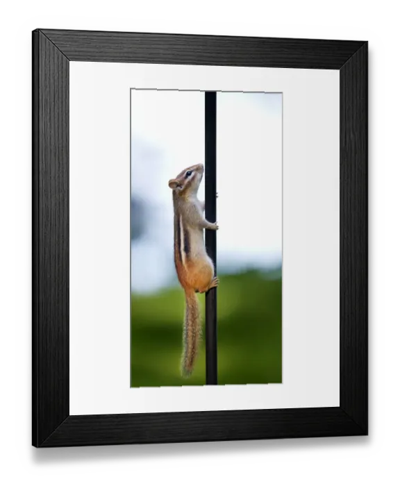 Framed Print : Pole Vault Framed Print : Pole Vault