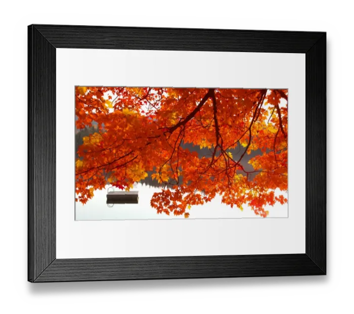 Framed Print : Summers End