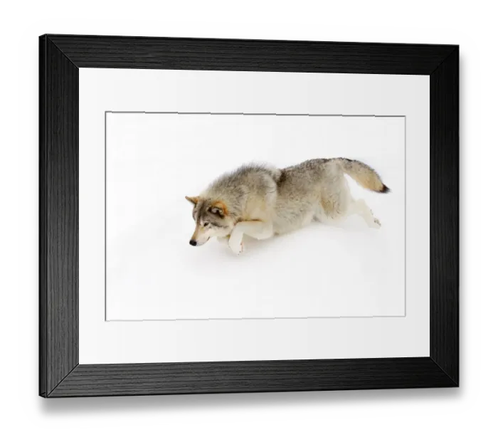 Framed Print : The Chase Framed Print : The Chase