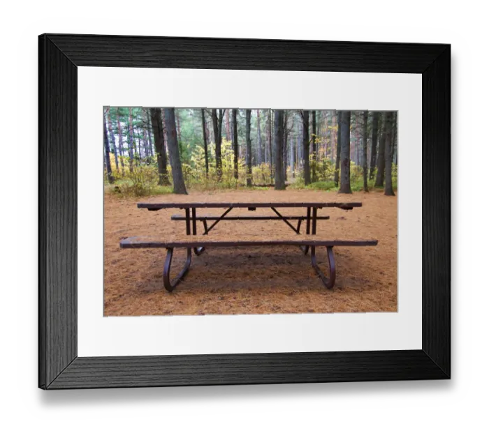 Framed Print : Summer comes to an end in Algonquin