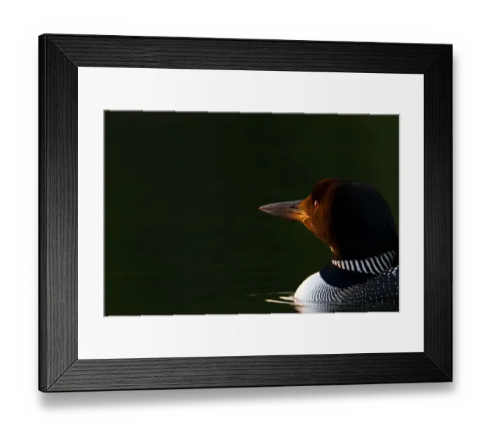 Framed Print : Morning breaks Framed Print : Morning breaks