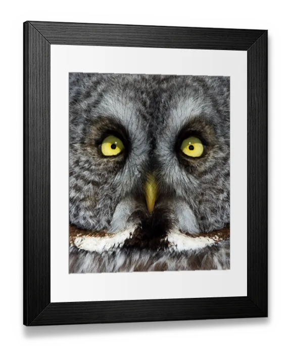 Framed Print : Closeup of a Ghost Framed Print : Closeup of a Ghost