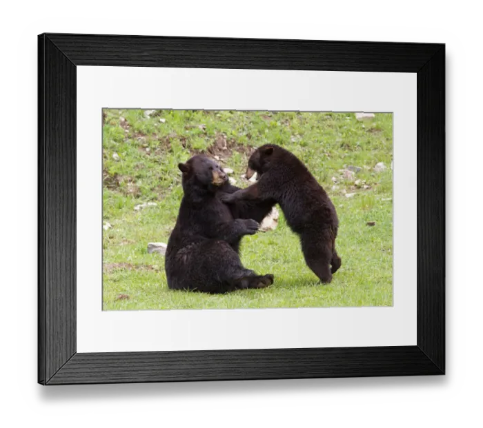 Framed Print : Tag... you re it