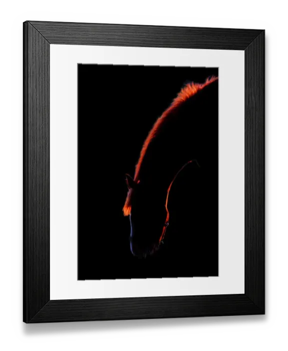 Framed Print : Horse. Silhouette of horse against black background Framed Print : Horse. Silhouette of horse against black background