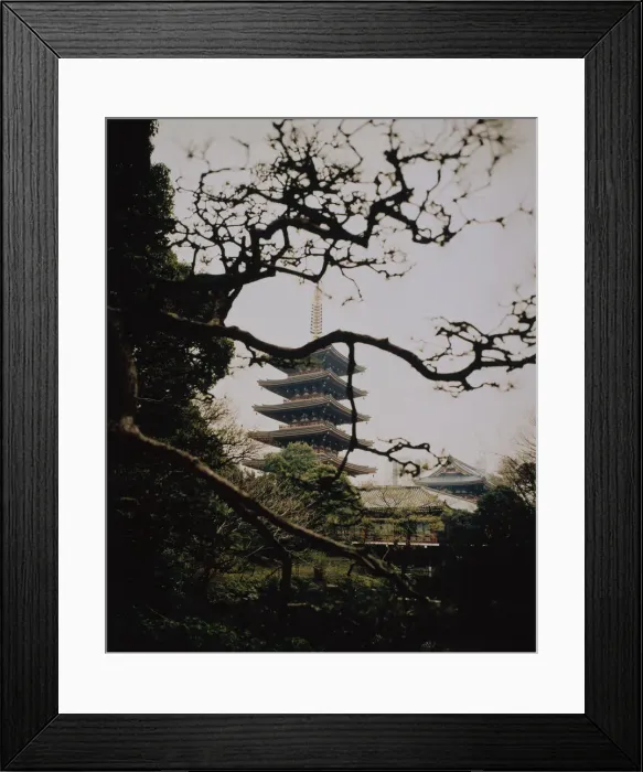Framed Print : Pagoda Near Trees Framed Print : Pagoda Near Trees
