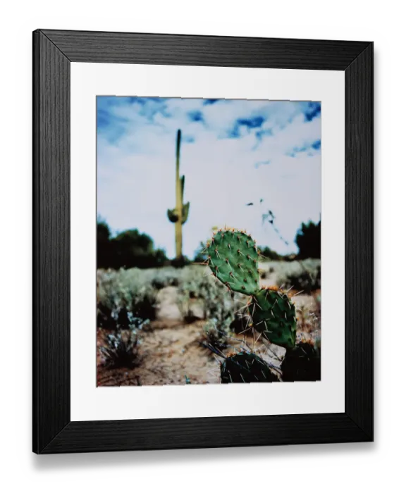 Framed Print : Silvia Otte Photography Framed Print : Silvia Otte Photography