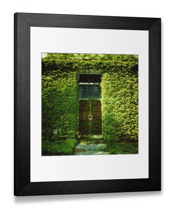 Framed Print : Silvia Otte Photography Framed Print : Silvia Otte Photography