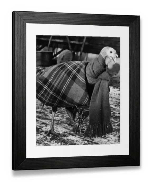Framed Print : Cold Christmas Framed Print : Cold Christmas