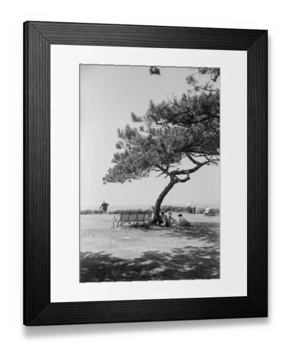 Framed Print : Beauty Spot Framed Print : Beauty Spot
