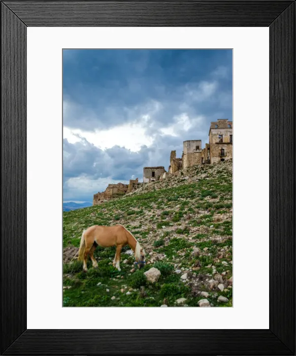 Framed Print : Horse in Craco - The ghost town Framed Print : Horse in Craco - The ghost town