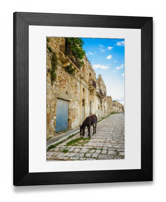 Framed Print : Donkey in Craco - The ghost town Framed Print : Donkey in Craco - The ghost town