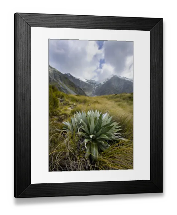 Framed Print : Mountaintop Foliage
