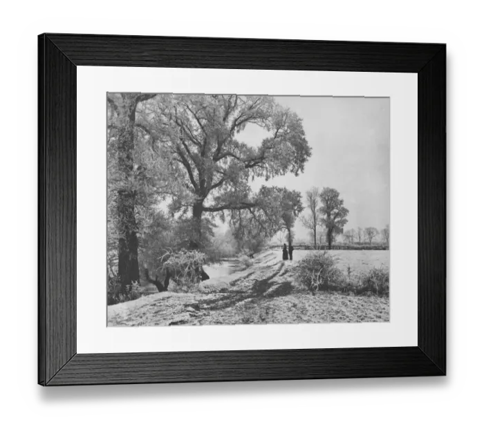 Framed Print : Winters Day Framed Print : Winters Day