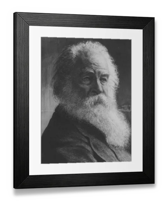 Framed Print : Walt Whitman Framed Print : Walt Whitman