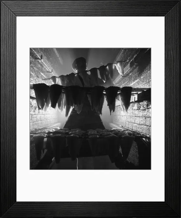 Framed Print : Curing Fish