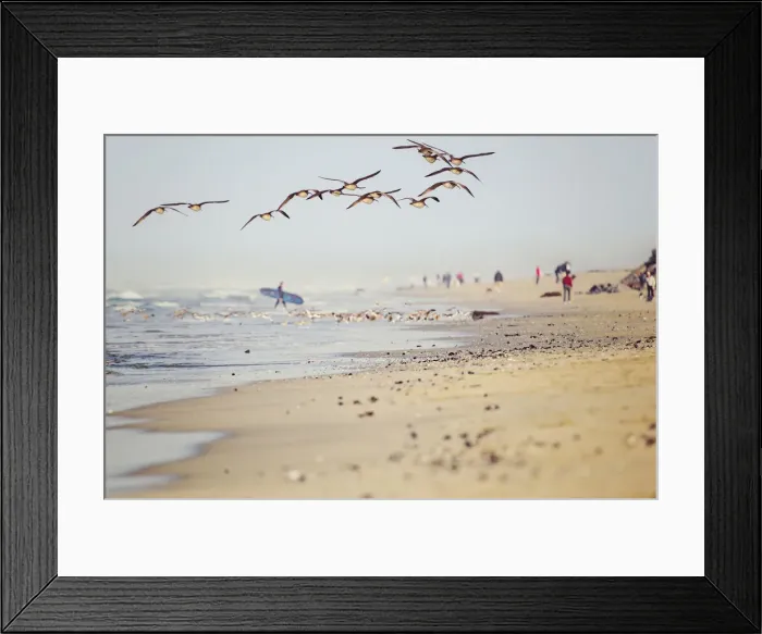 Framed Print : Summer Days in Winter in Huntington Beach