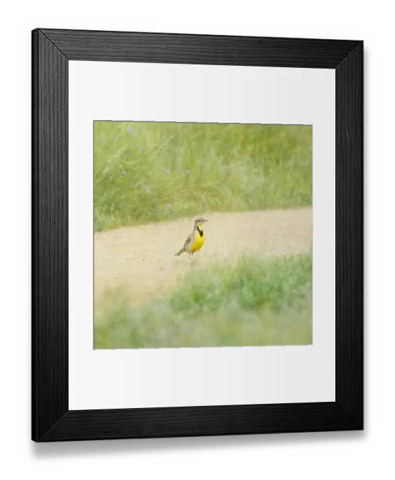 Framed Print : Painterly serene scene Framed Print : Painterly serene scene