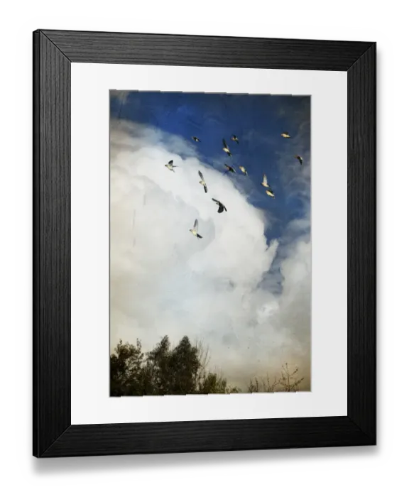 Framed Print : Incoming storm and flock of birds Framed Print : Incoming storm and flock of birds