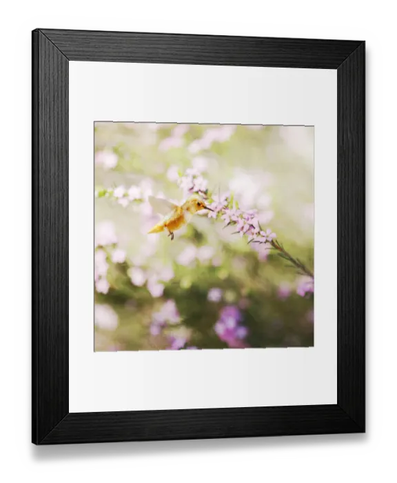 Framed Print : Romantic Encounter Framed Print : Romantic Encounter