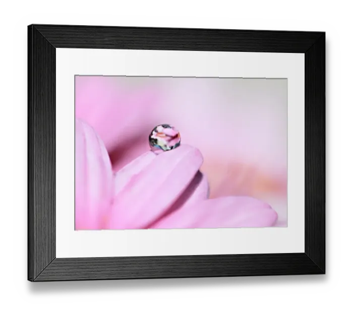 Framed Print : Pretty Pink Droplet Framed Print : Pretty Pink Droplet