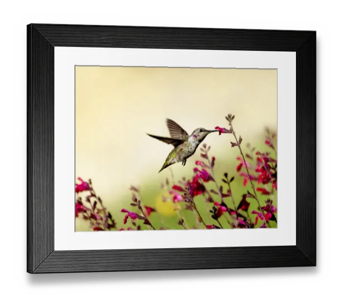 Framed Print : The Tempest Framed Print : The Tempest