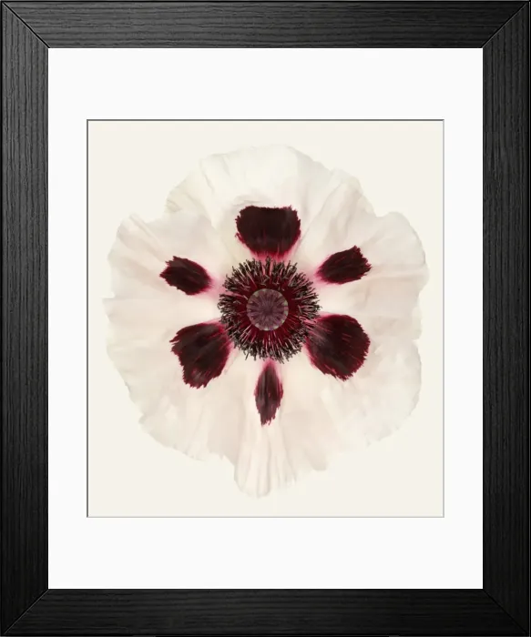 Framed Print : Royal Wedding Framed Print : Royal Wedding