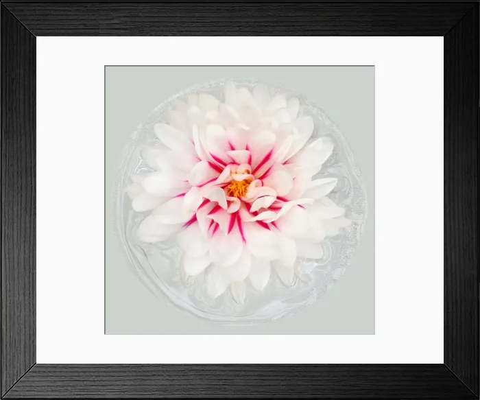 Framed Print : Rebeccas World Framed Print : Rebeccas World