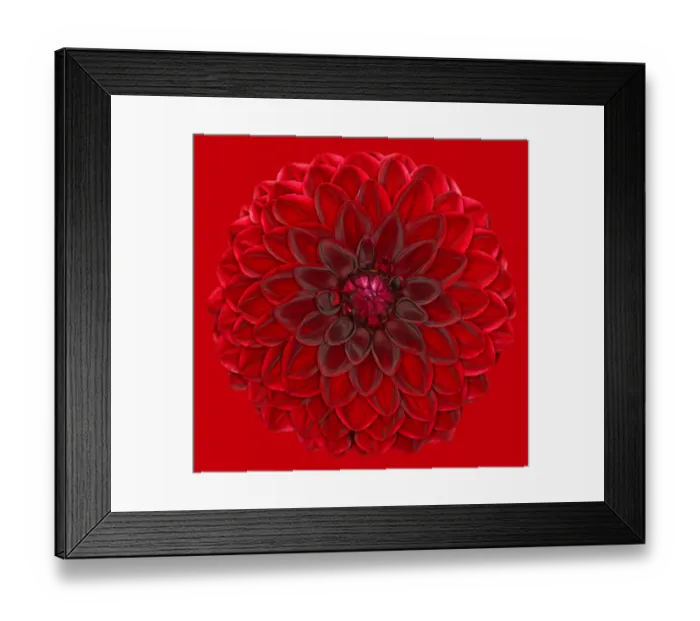Framed Print : Onslow michelle Framed Print : Onslow michelle