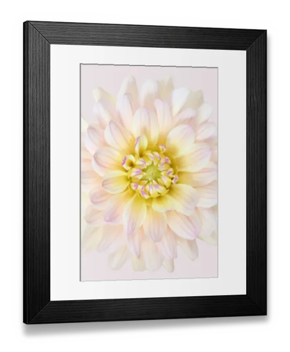 Framed Print : Dianas Memory