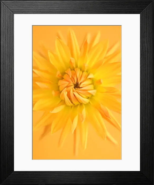 Framed Print : Yellow star