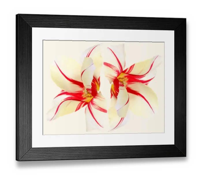 Framed Print : Carnaval de Rio Framed Print : Carnaval de Rio