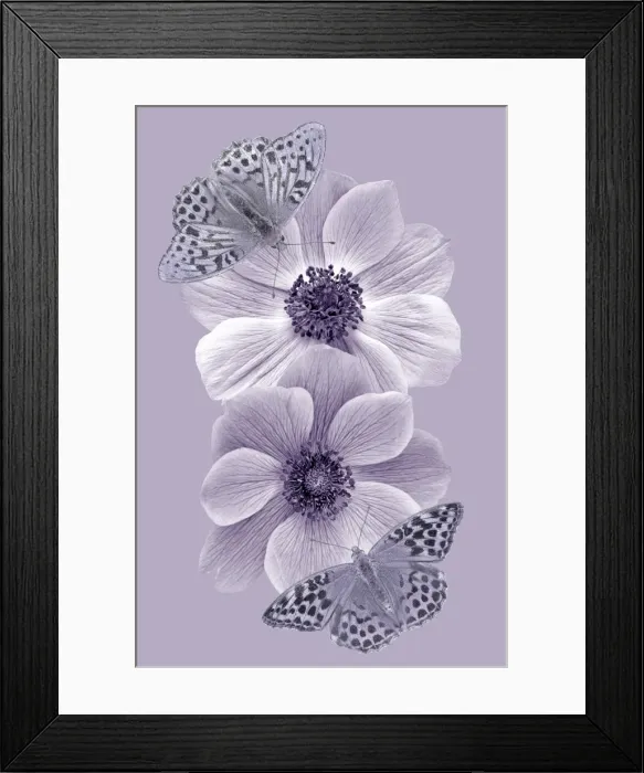 Framed Print : Fritillaries Framed Print : Fritillaries