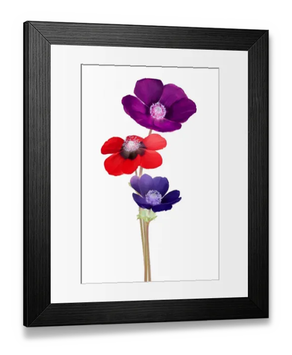 Framed Print : Anemones, inverted and hue readjusted Framed Print : Anemones, inverted and hue readjusted