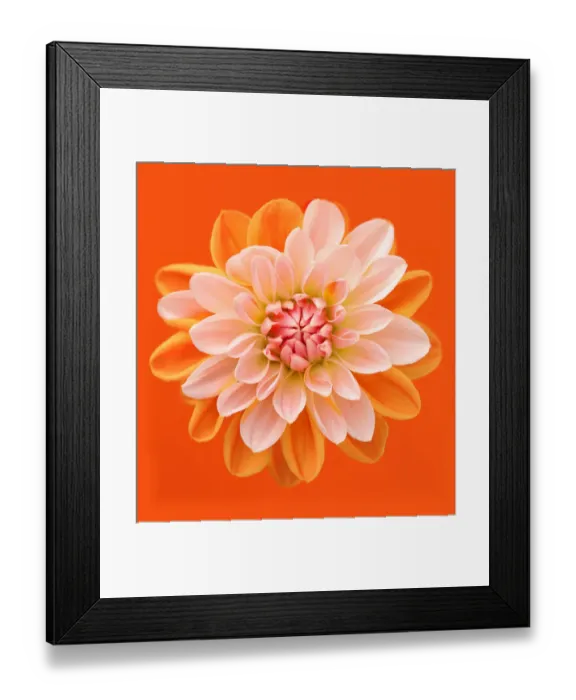 Framed Print : Brian Haslam Photography Framed Print : Brian Haslam Photography