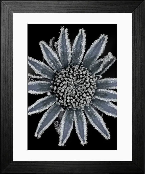 Framed Print : Brian Haslam Photography Framed Print : Brian Haslam Photography