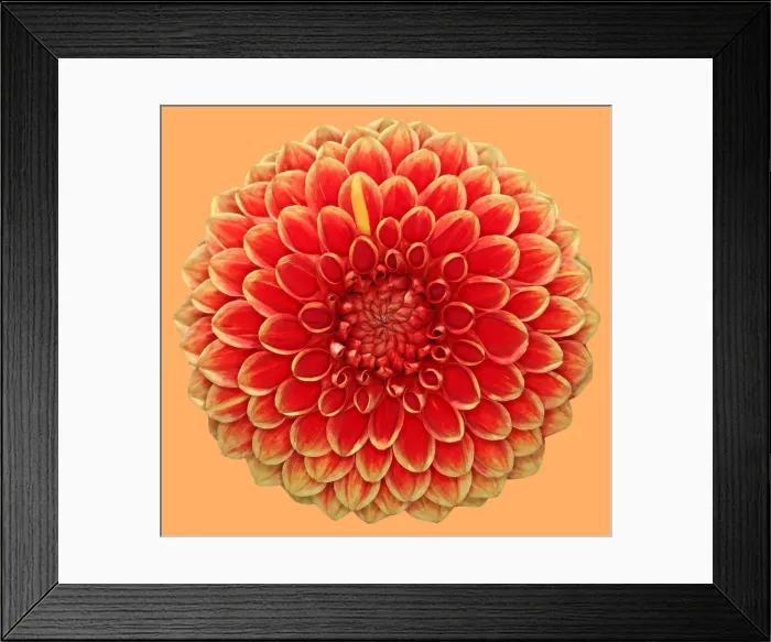Framed Print : Hexton Copper Framed Print : Hexton Copper