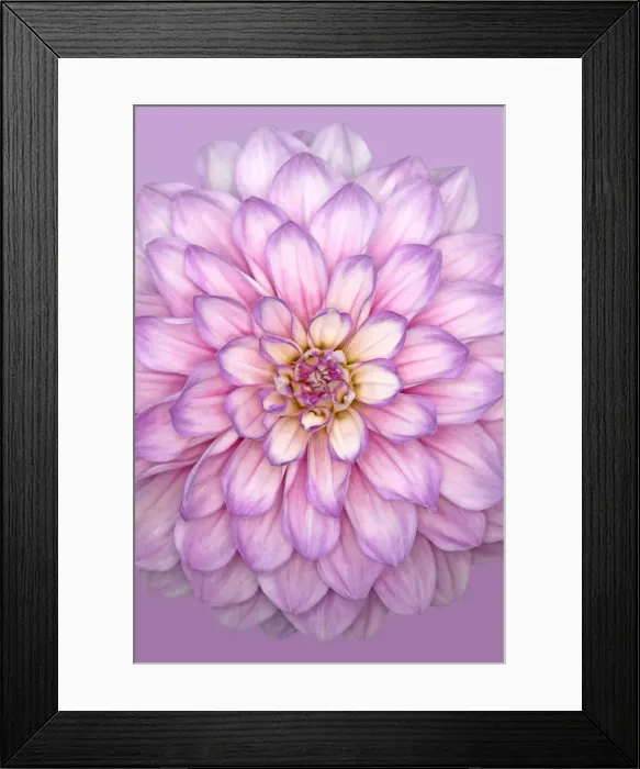Framed Print : Carolina Moon Framed Print : Carolina Moon