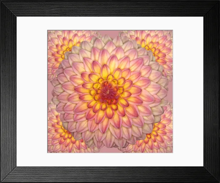 Framed Print : Wootton Phoebe Framed Print : Wootton Phoebe