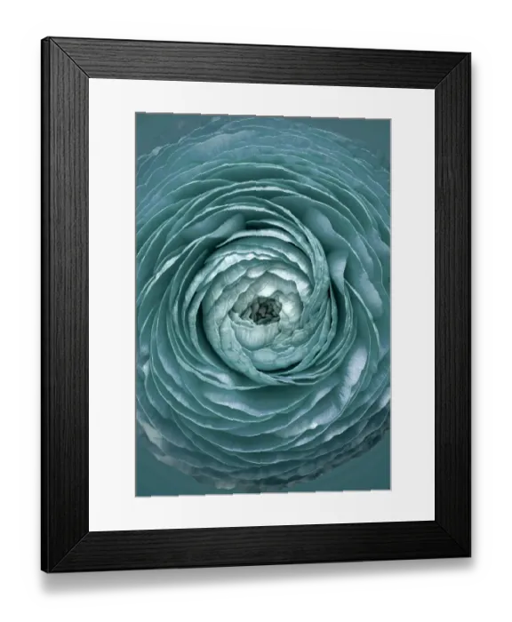 Framed Print : Brian Haslam Photography Framed Print : Brian Haslam Photography