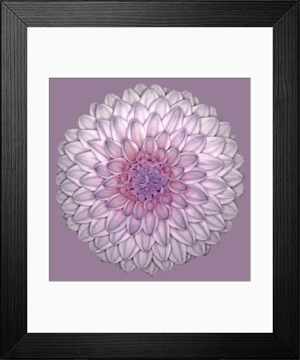 Framed Print : Wootton Phoebe Framed Print : Wootton Phoebe