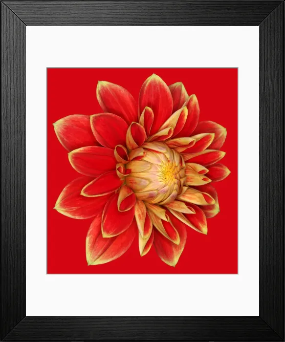 Framed Print : Garden Festival Framed Print : Garden Festival