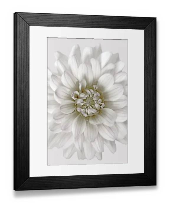 Framed Print : Dianas Memory Framed Print : Dianas Memory