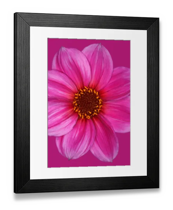Framed Print : Happy Single Juliet Framed Print : Happy Single Juliet