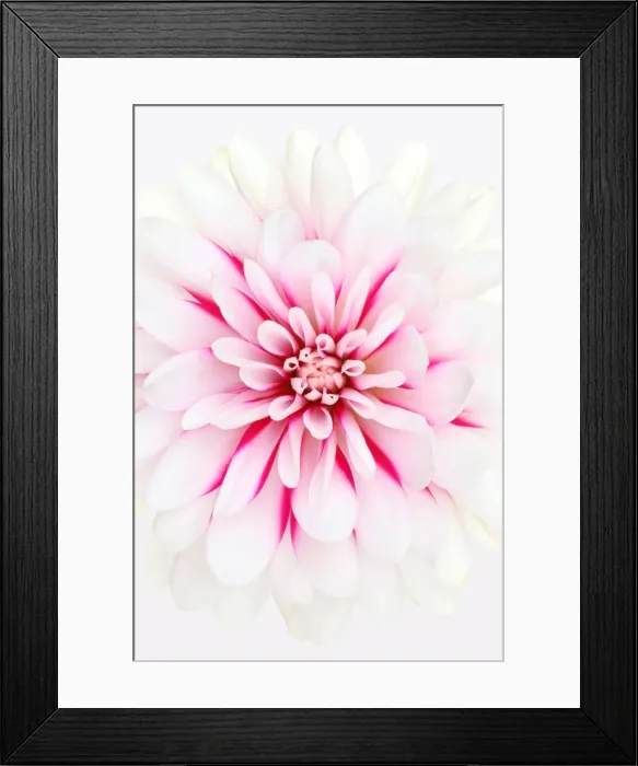 Framed Print : Rebeccas World Framed Print : Rebeccas World