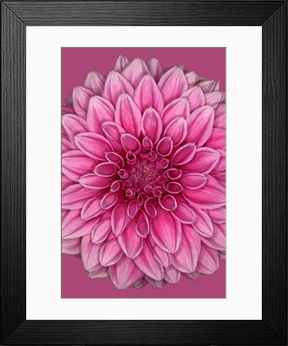 Framed Print : Nunton Form Framed Print : Nunton Form