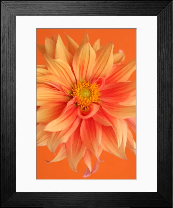 Framed Print : Orange Turmoil Framed Print : Orange Turmoil