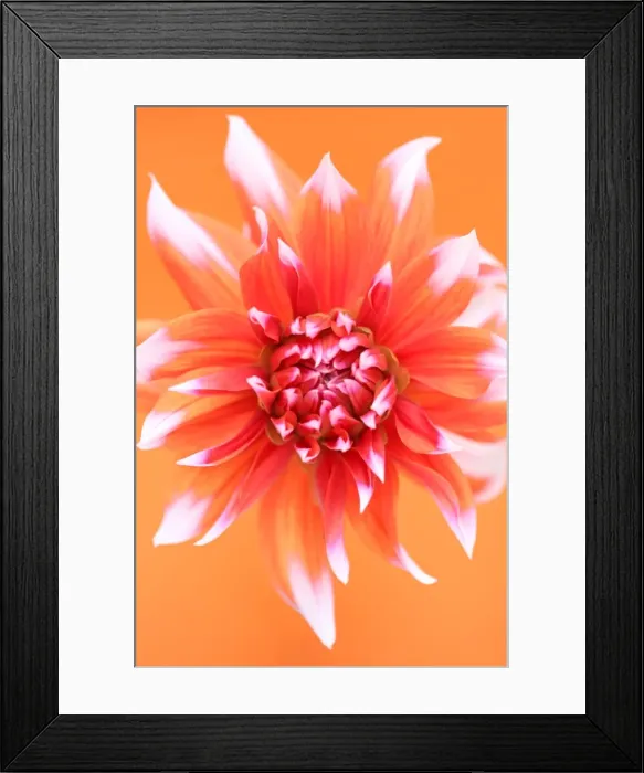 Framed Print : Orange turmoil Framed Print : Orange turmoil