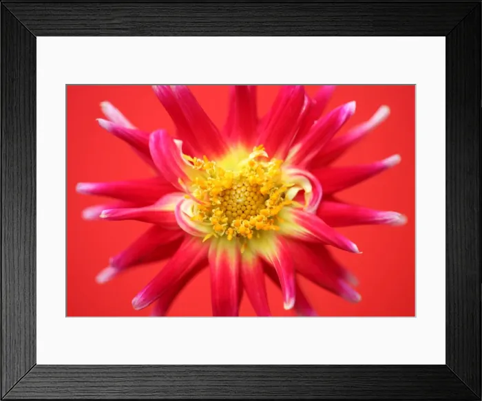 Framed Print : Tahiti Sunrise