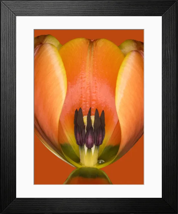 Framed Print : Ad Rem Framed Print : Ad Rem