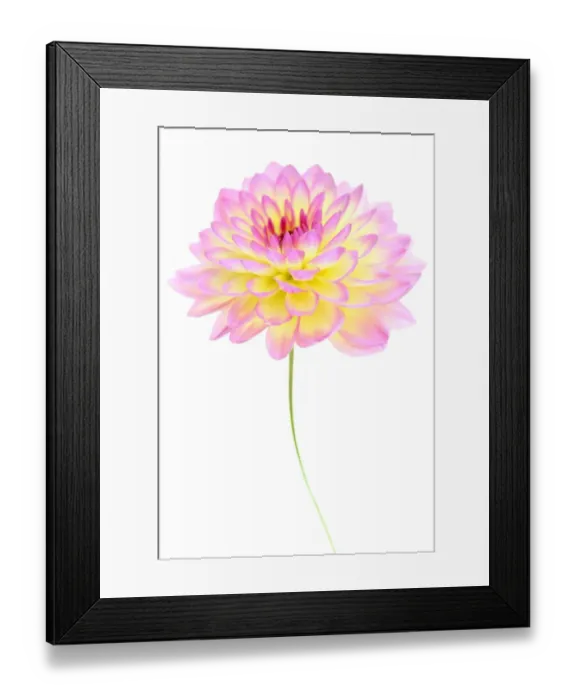 Framed Print : Jowey Gipsey Framed Print : Jowey Gipsey
